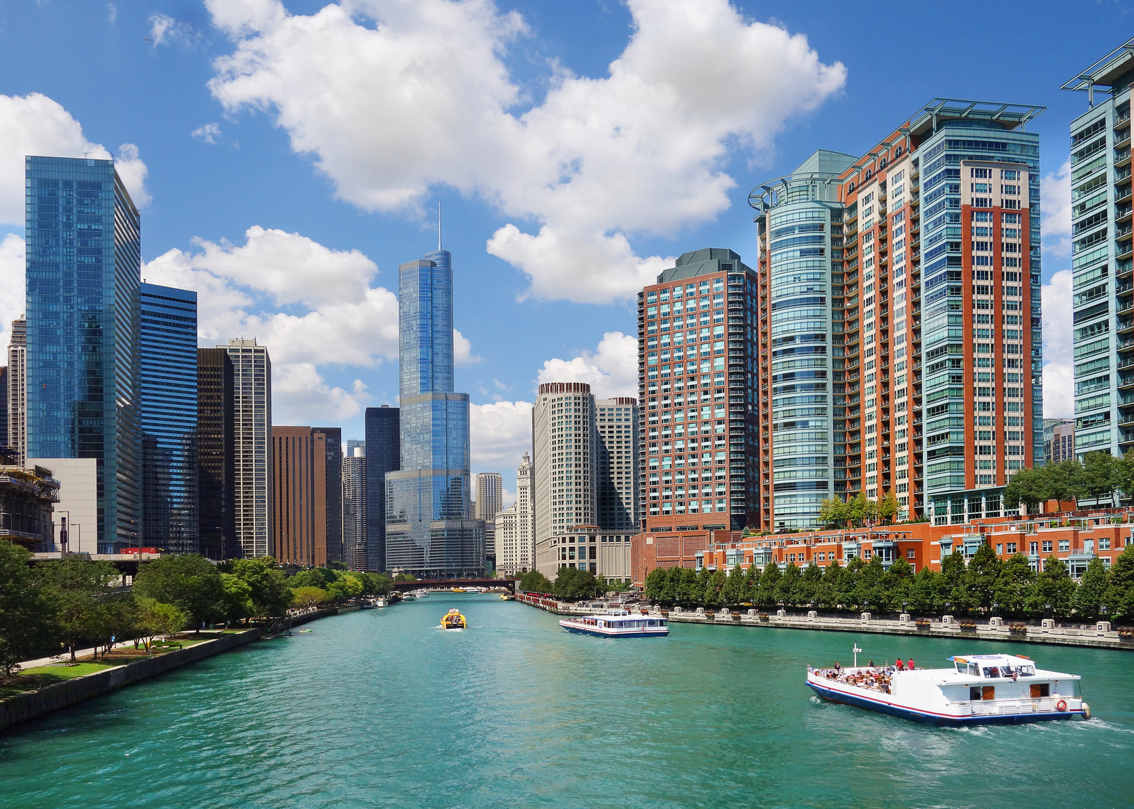 Chicago downtown buildings skyline