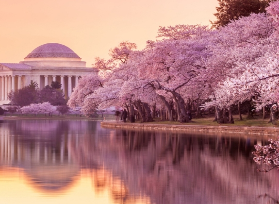 Washington-DC-Jefferson-Memorial