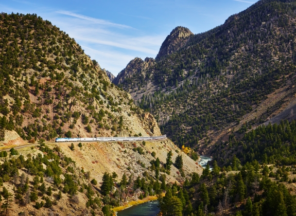 Amtrak's train going through a route in the woods