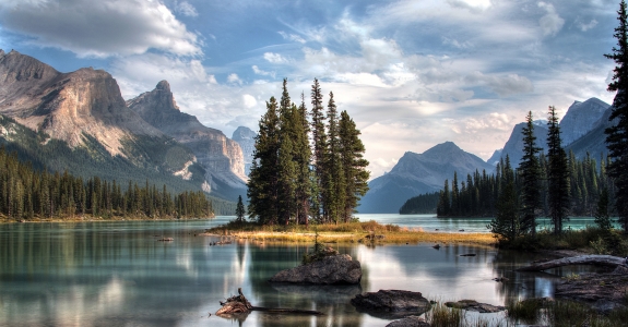 trees on a lake in canada