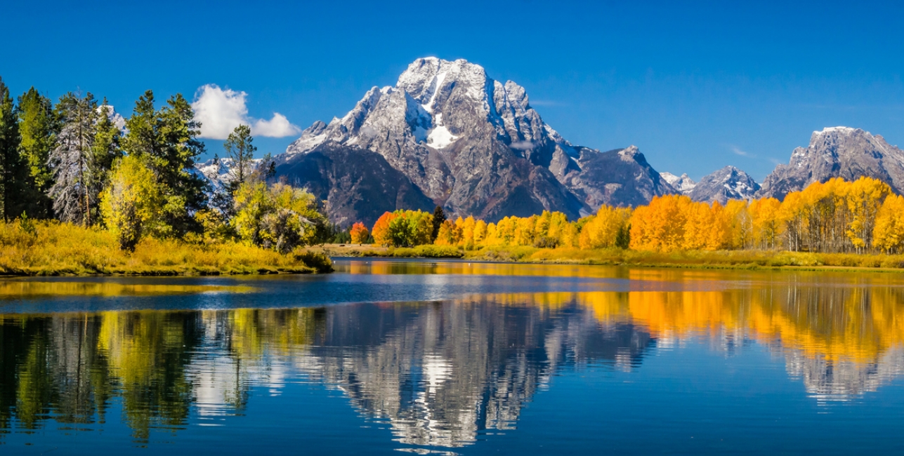 Grand Tetons & Yellowstone Express Amtrak Vacations®
