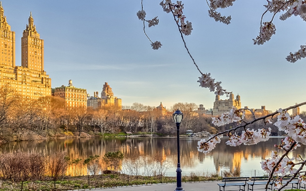 New-York-City-Central-Park-in-Spring New-York-City-Central-Park-in-Spring