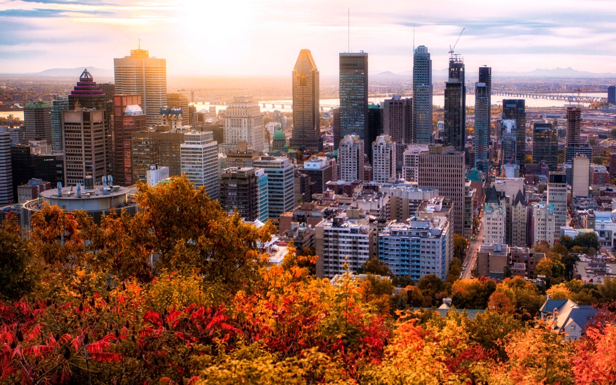 Fall Foliage in Montreal Canada