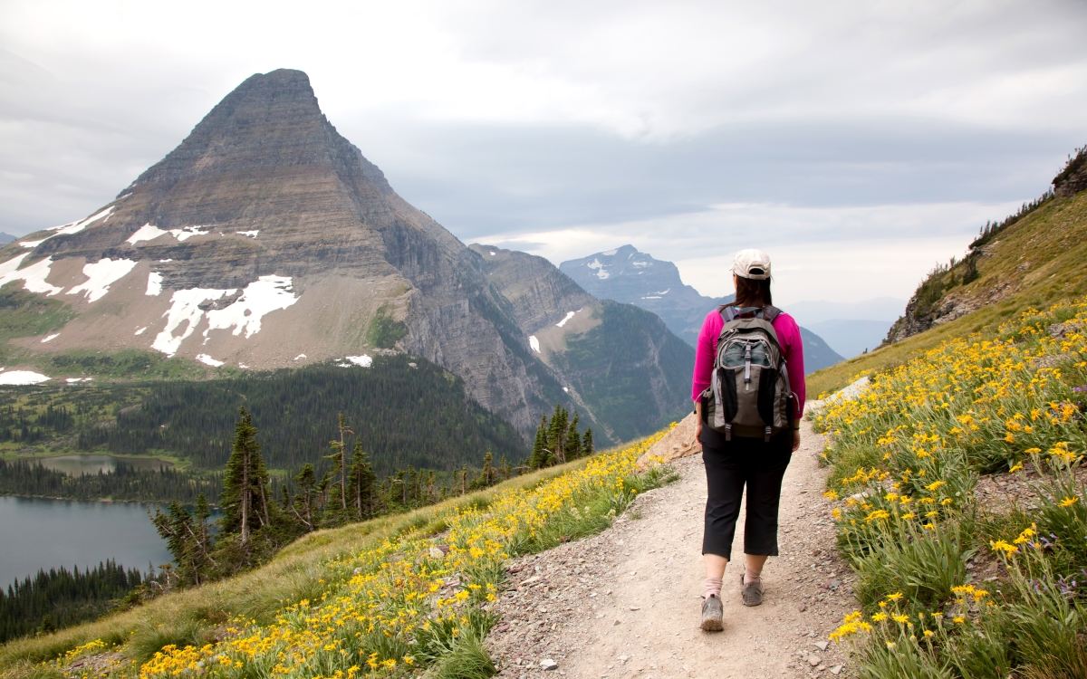 Woman Hiking Mountain Trail (Logan Pass, Glacier National Park)