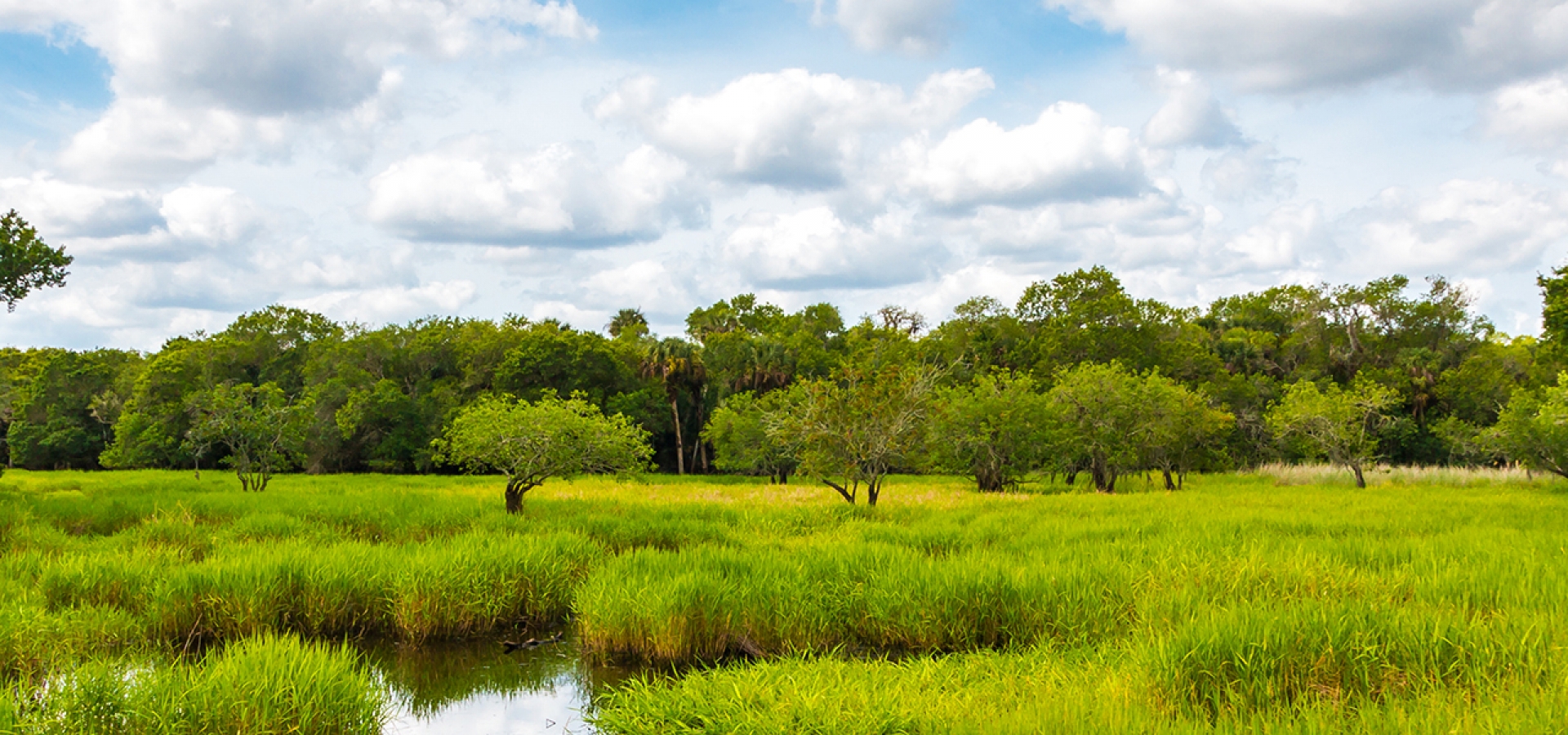 Florida Everglades National Park Hero 1