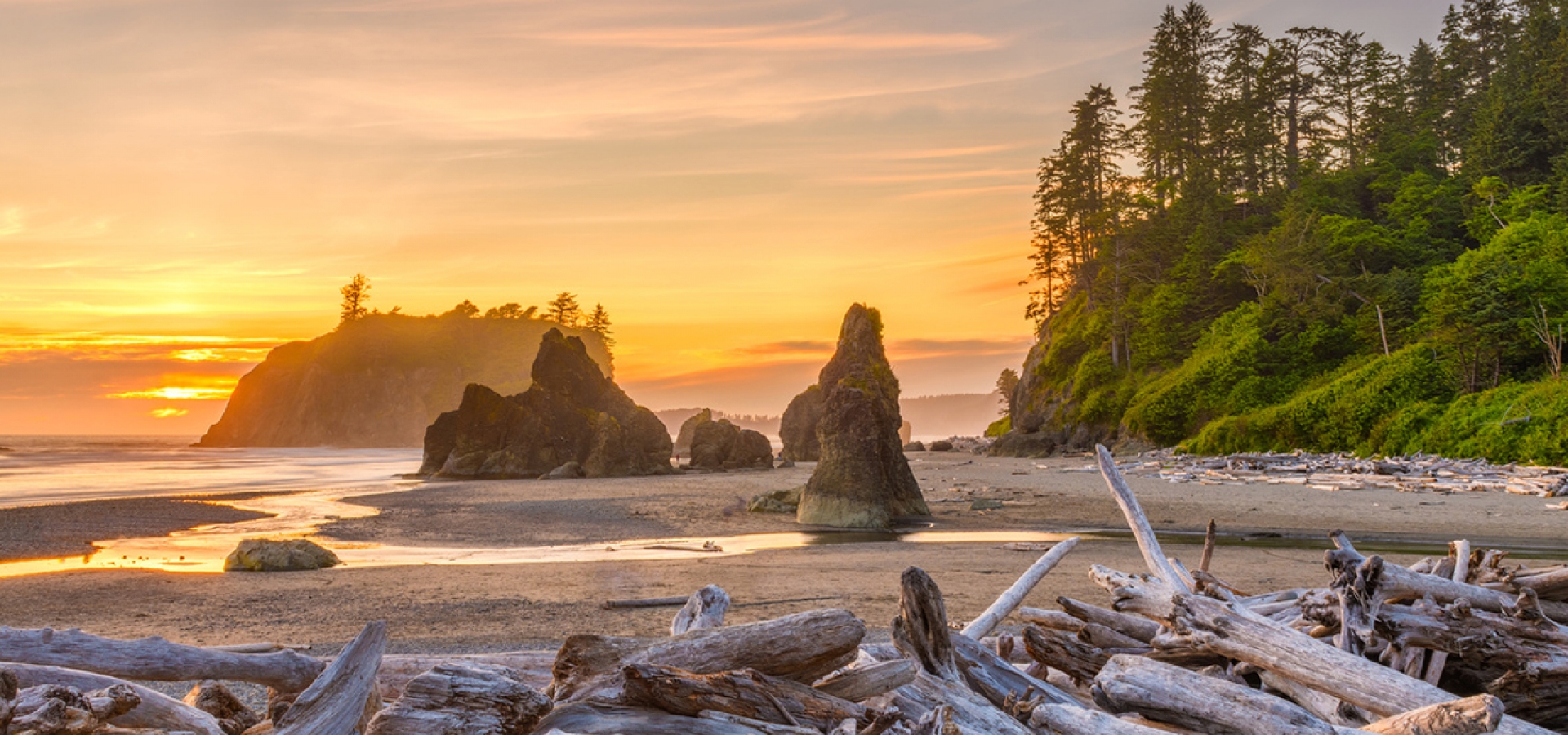 Olympic-National-Park Olympic National Park beach view at sunset