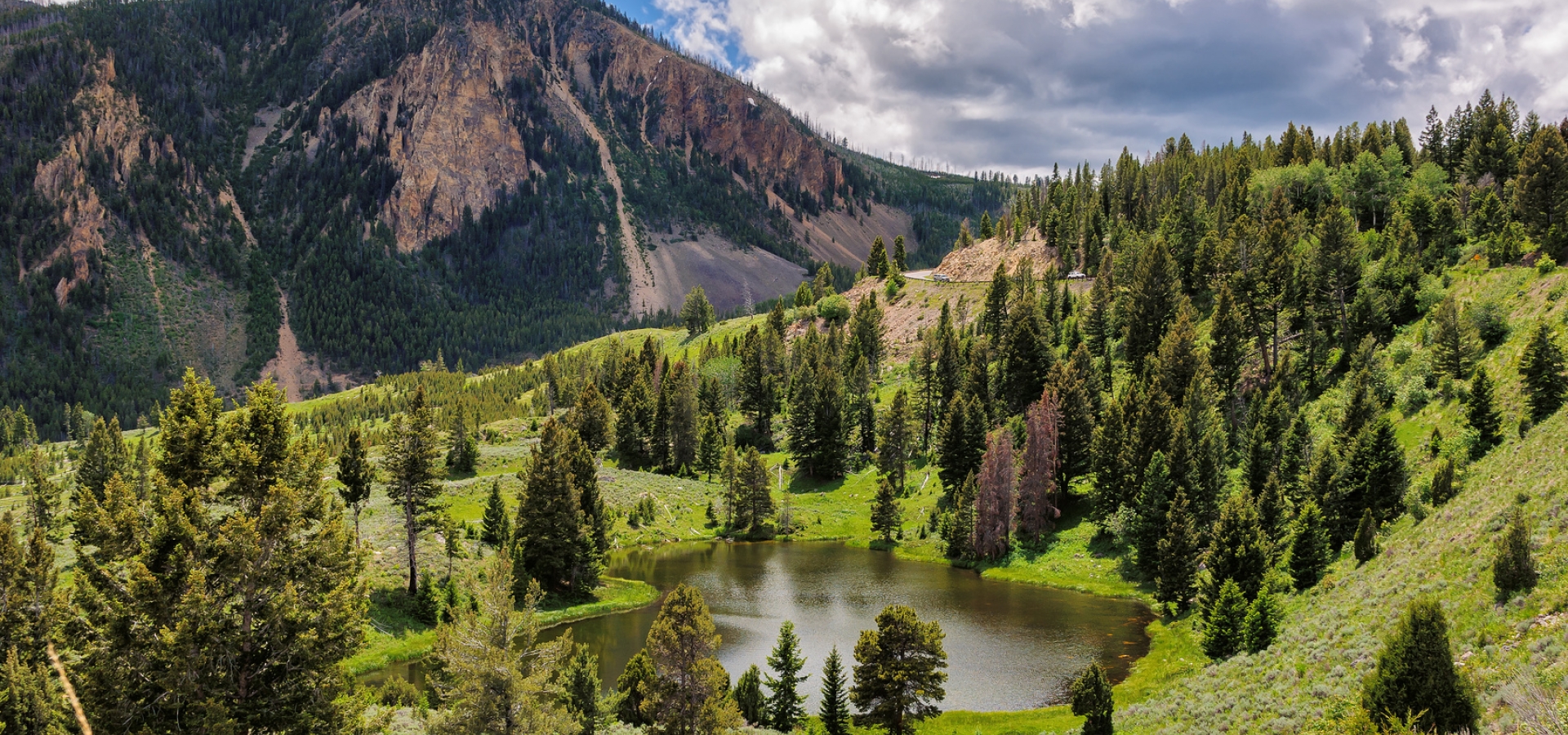 Are Dogs Allowed At Yellowstone National Park