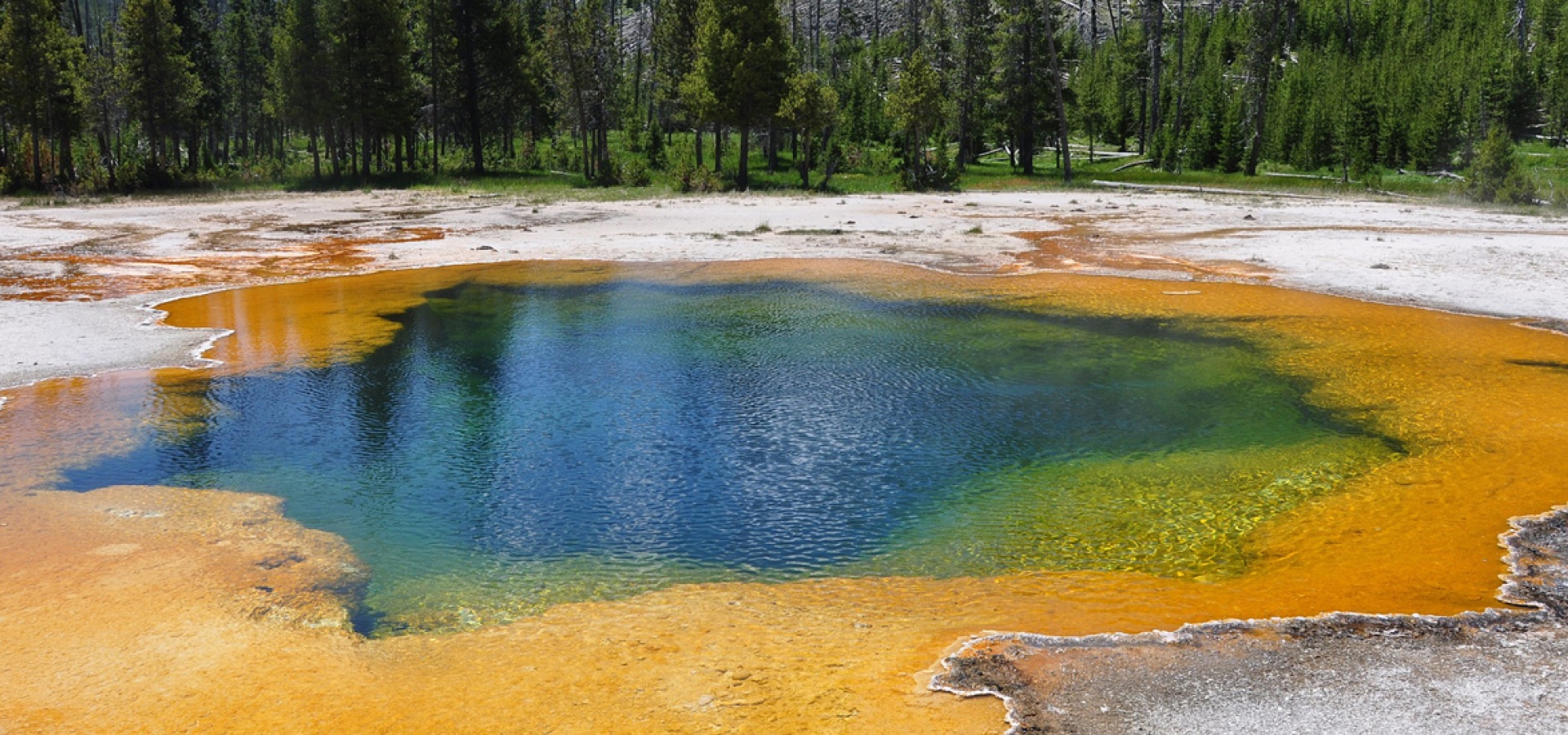 Yellowstone-National-Park_1280x550 Yellowstone-National-Park_1280x550