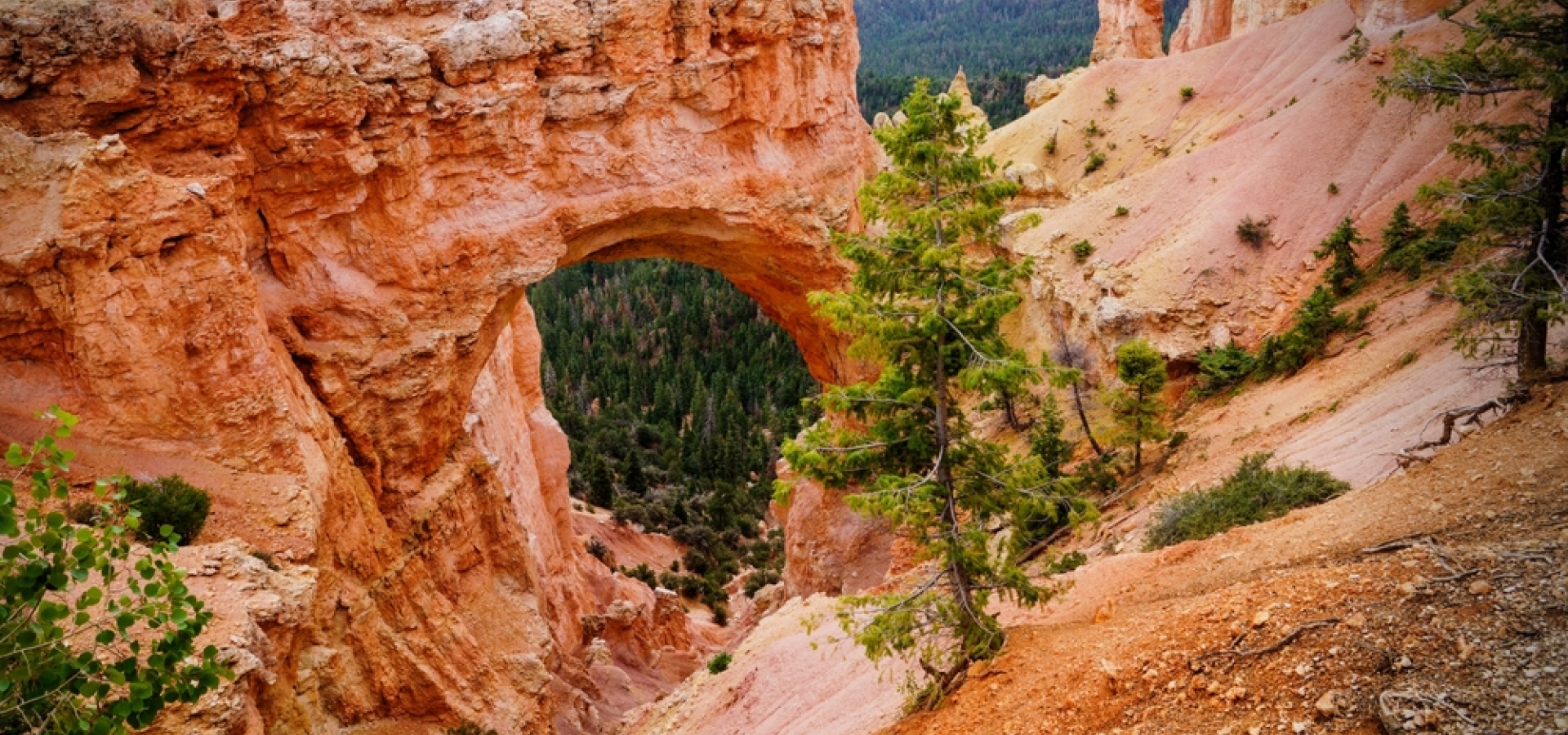 Bryce Canyon National Park (UT)