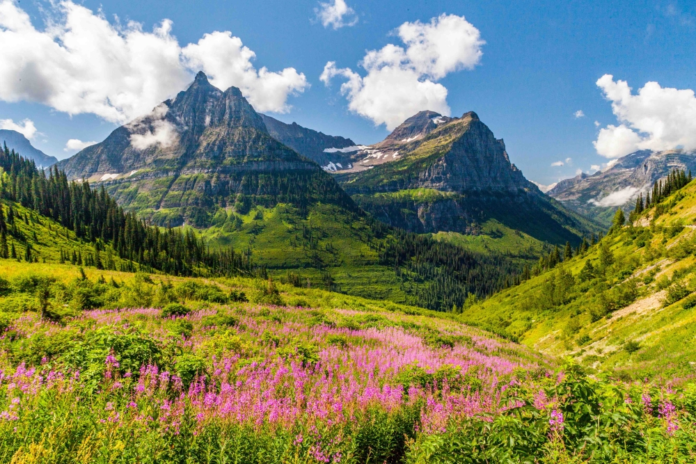 Glacier National Park, Montana by Train with Amtrak Vacations