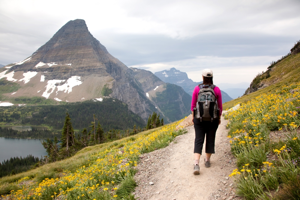 Woman Hiking Mountain Trail (Logan Pass, Glacier National Park)